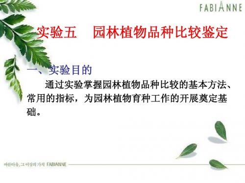 实验五 品种比较试验