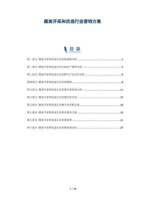 煤炭开采和洗选行业营销方案