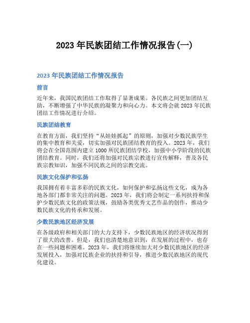 2023年民族团结工作情况报告(一)