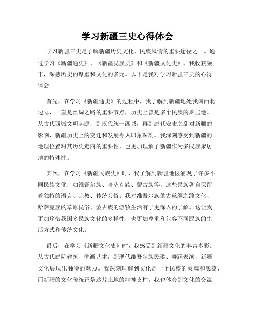 学习新疆三史心得体会