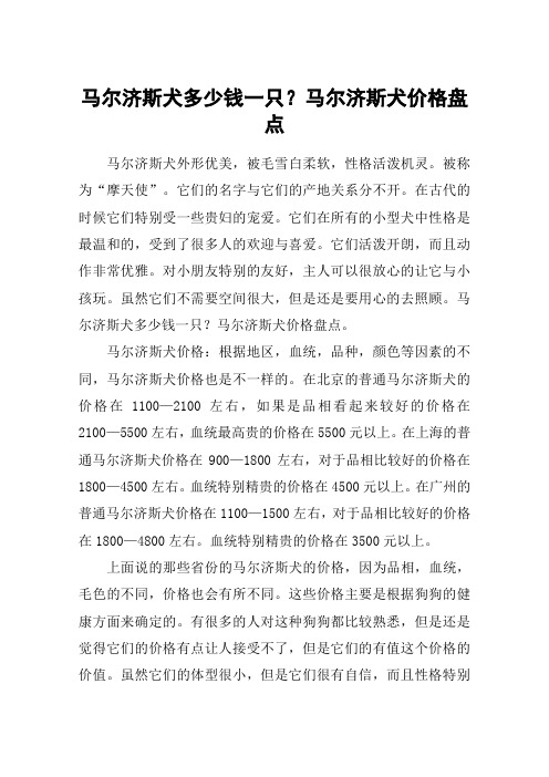马尔济斯犬多少钱一只?马尔济斯犬价格盘点