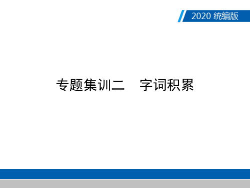 广东中考语文复习完美课件-专题集训二 字词积累(共31张PPT)