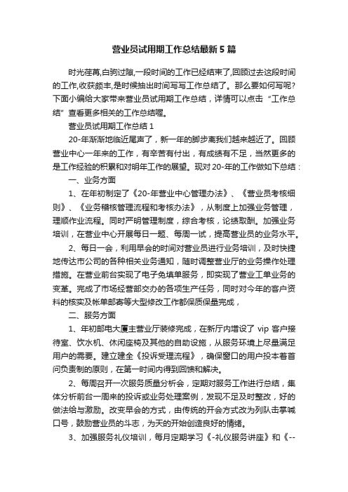 营业员试用期工作总结最新5篇