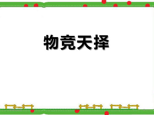 湘教版六年级下册科学《物竞天择》精品PPT教学课件