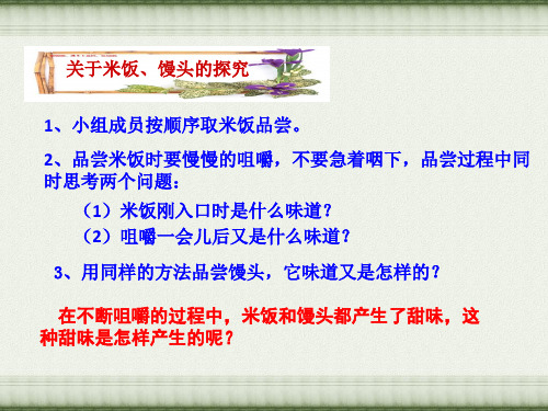 六年级下册科学课件2.3米饭淀粉和碘酒的变化教科版共16张PPT