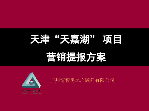 天津天嘉湖房地产项目营销策划方案