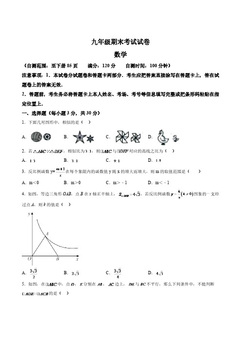 河南省安阳市滑县2024届九年级上学期期末考试数学试卷(含解析)