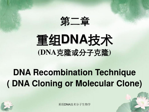 重组DNA技术分子生物学