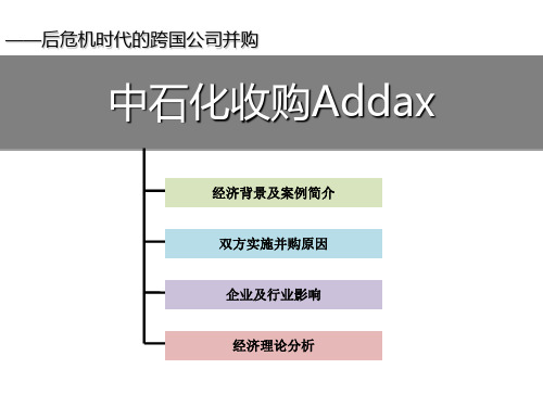 跨国公司经济学案例展示-28页精选文档