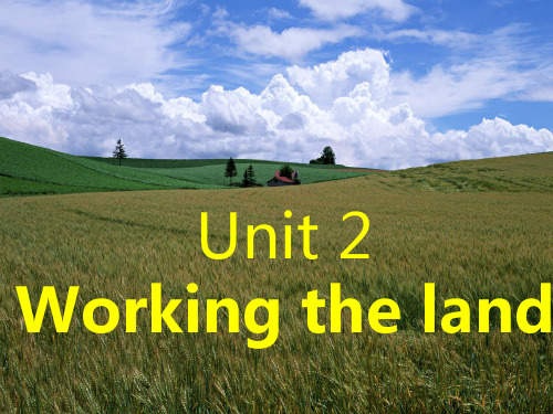 人教版 高中英语必修四 Unit2 Working the land