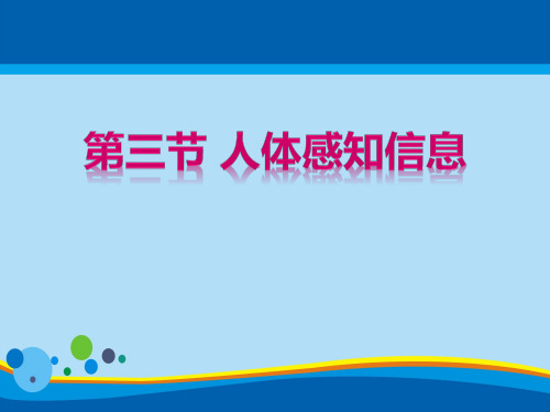 《人体的感知信息》PPT【精选推荐课件】