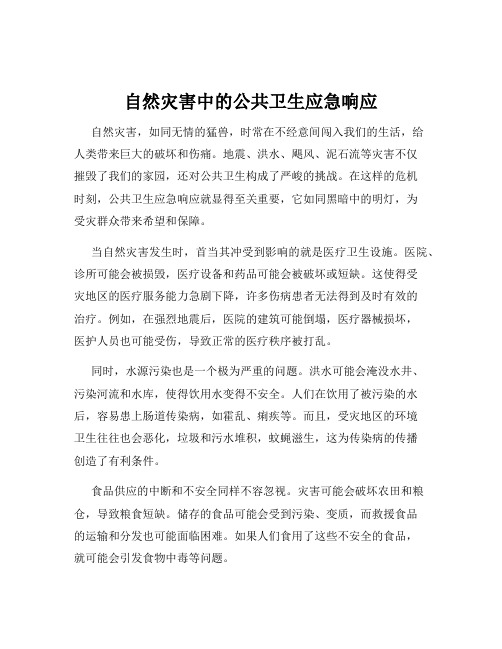 自然灾害中的公共卫生应急响应