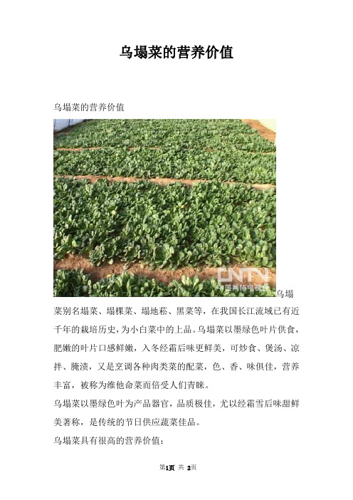 乌塌菜的营养价值
