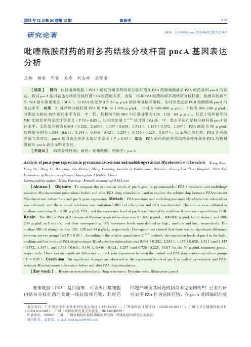 吡嗪酰胺耐药的耐多药结核分枝杆菌pncA_基因表达分析