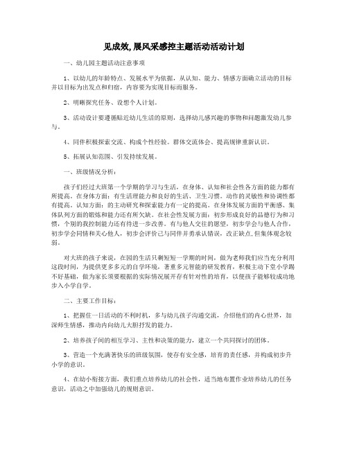 见成效,展风采感控主题活动活动计划