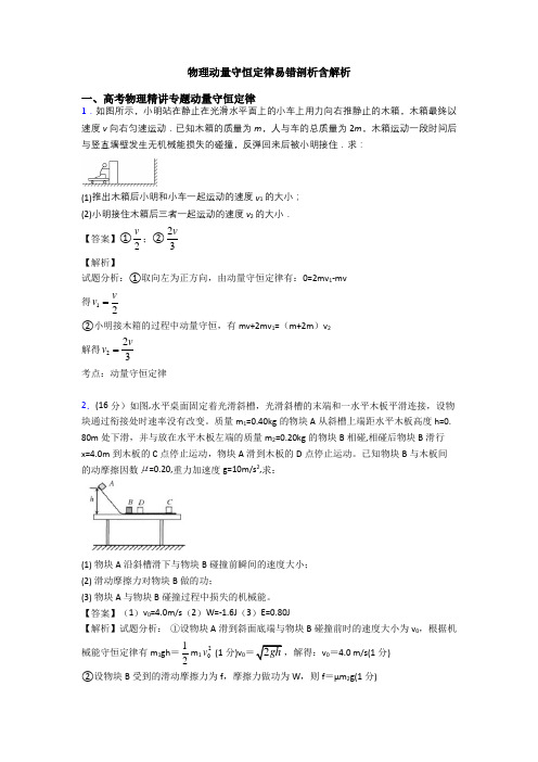 物理动量守恒定律易错剖析含解析