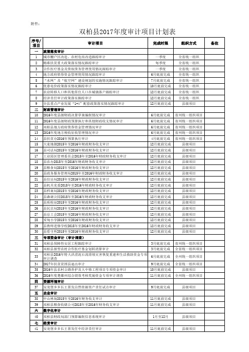 审计项目计划表(定)