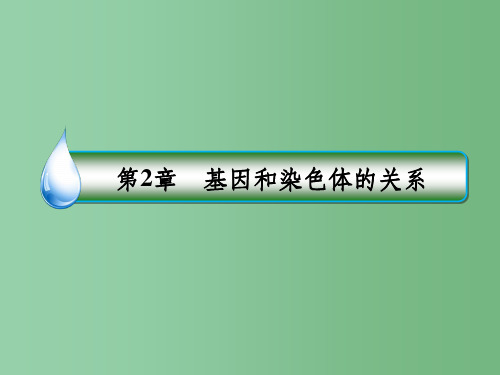高中生物 第2章 基因和染色体的关系 第2节 基因在染色体上课件 新人教版必修2