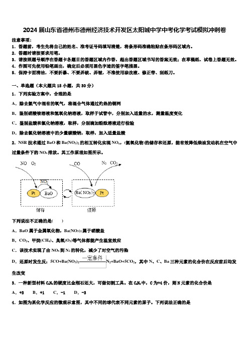 2024届山东省德州市德州经济技术开发区太阳城中学中考化学考试模拟冲刺卷含解析