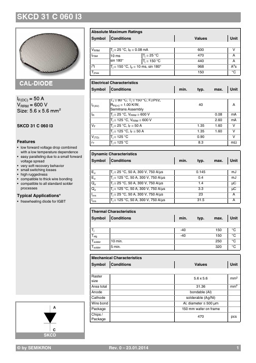 赛米控丹佛斯电子 SKCD_31_C_060_I3 数据表