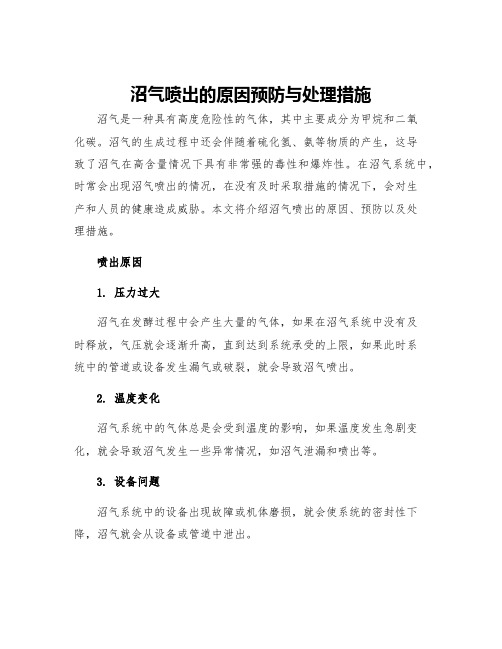 沼气喷出的原因预防与处理措施