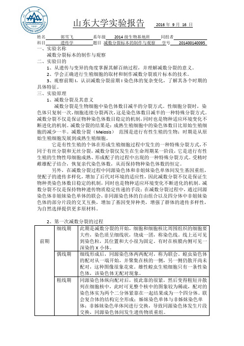 细胞生物学实验报告   细胞凝集实验