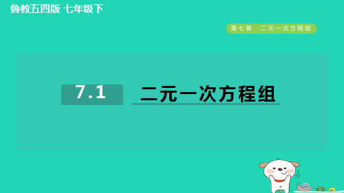 2024七年级数学下册第7章二元一次方程组7.1二元一次方程组习题课件鲁教版五四制