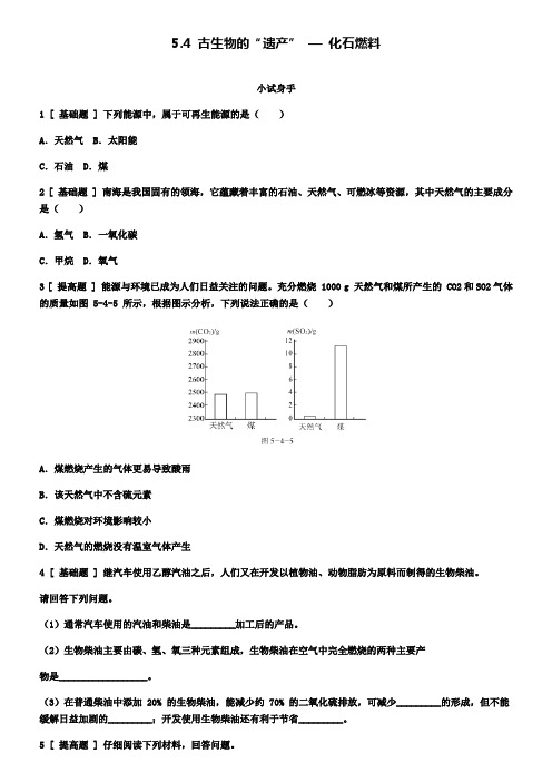 九年级化学上册5.4古生物的遗产化石燃料试题