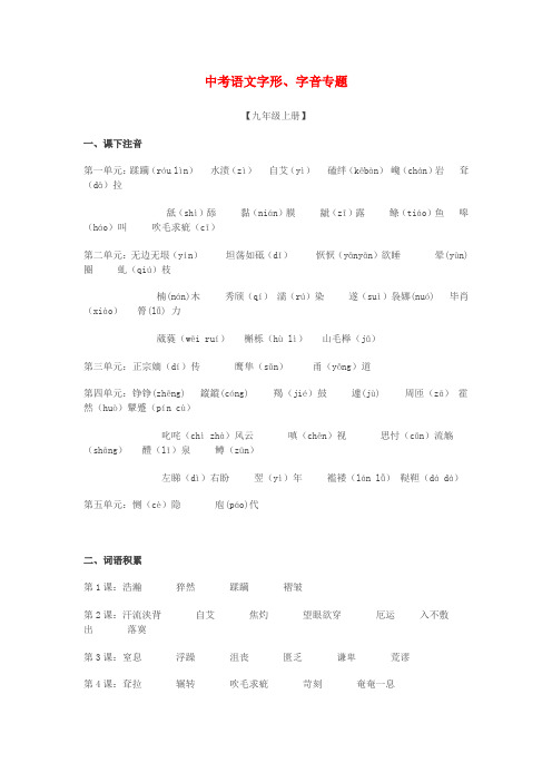 中考语文总复习 专项复习资料 字形、字音专题素材 新人教版