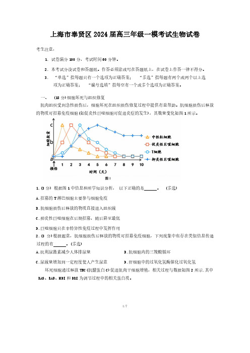 上海市奉贤区2024届高三年级一模考试生物试卷(附答案)