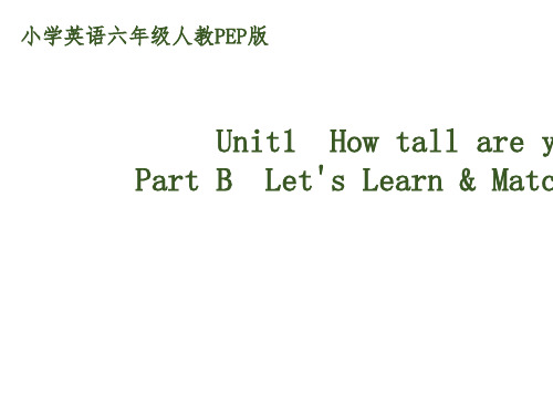 六年级下册英语-Unit1 How tall are you PartB Let's Learn