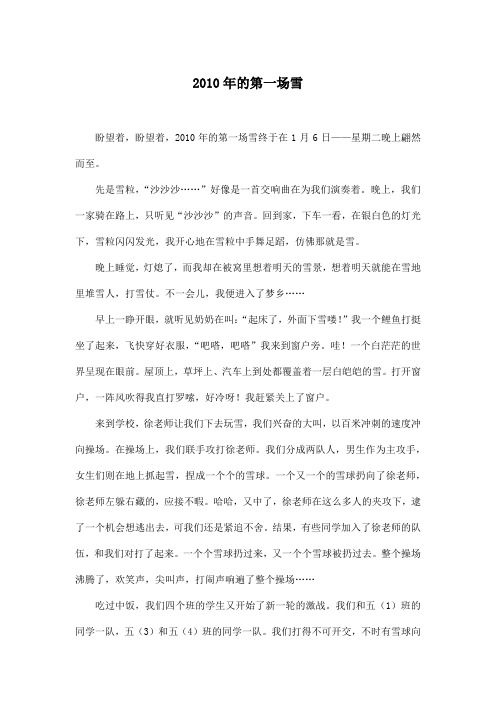2010年的第一场雪_初中初三作文700字