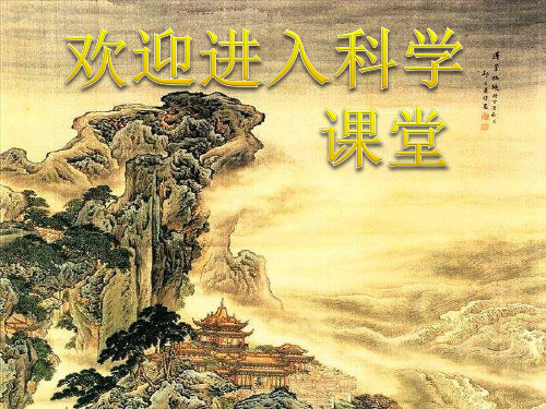 2020年小学五年级下册科学课件-杠杆
