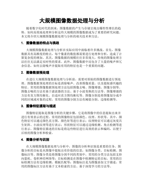 大规模图像数据处理与分析