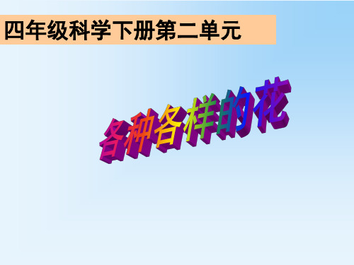 教科版四年级下册科学2.2 各种各样的花课件 (共27张PPT)