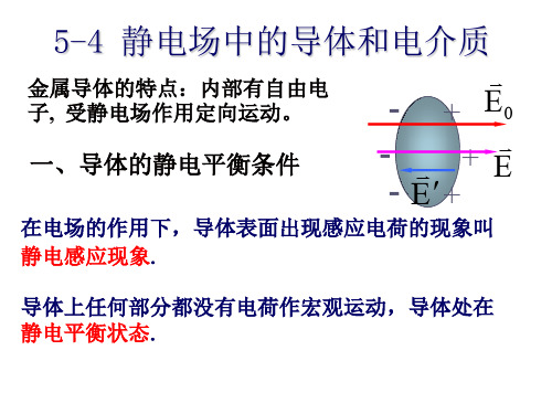 导体和电介质.ppt