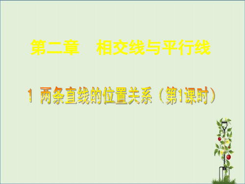 七年级数学下册《2.1 两条直线的位置关系(一)》课件 (新版)北师大版