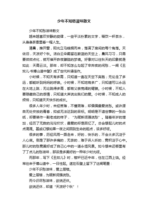 少年不知愁滋味散文