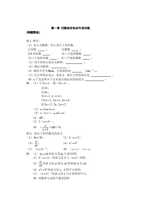 代数初步知识专项训练