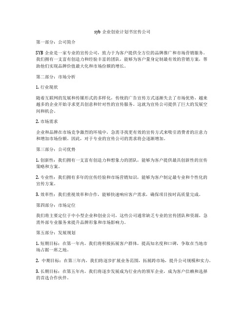 syb企业创业计划书宣传公司