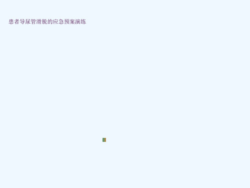 导尿管滑脱应急预案ppt课件