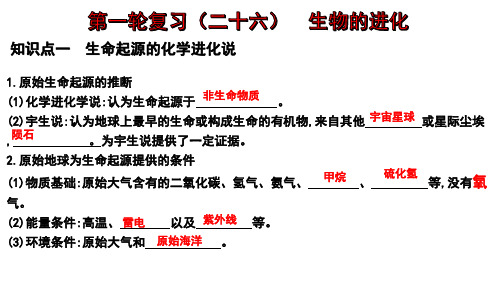 生物的进化2024年中考生物一轮复习全考点通关