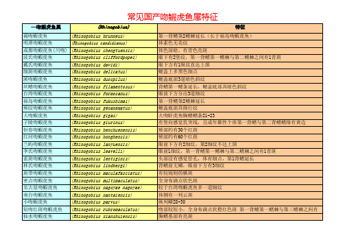 五属虾虎鱼鉴定依据