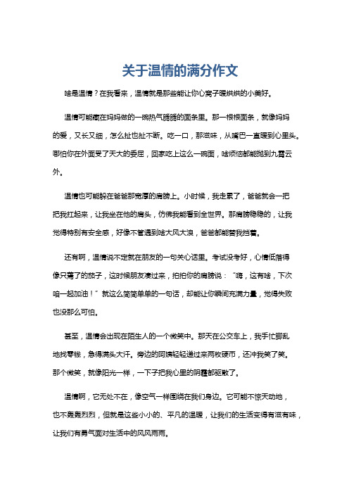 关于温情的满分作文