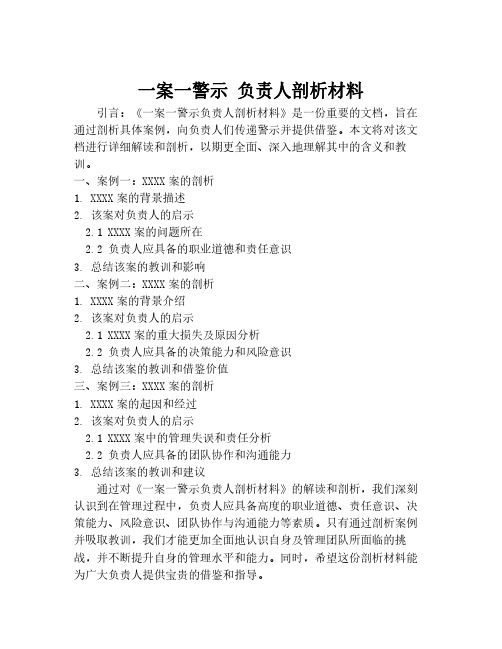 一案一警示 负责人剖析材料