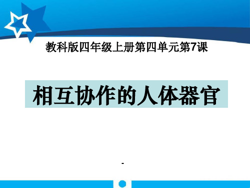 相互协作的人体器官