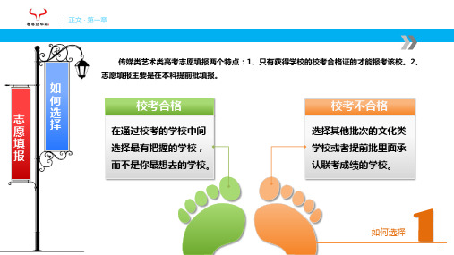 2019年湖南艺术类志愿填报和承认联考的学校-PPT课件