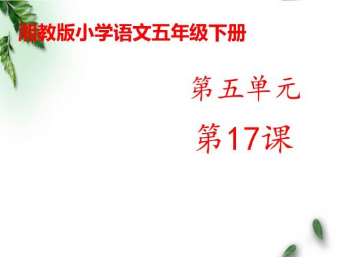 最新湘教版小学语文五年级下册《袁隆平访谈录》公开课课件1