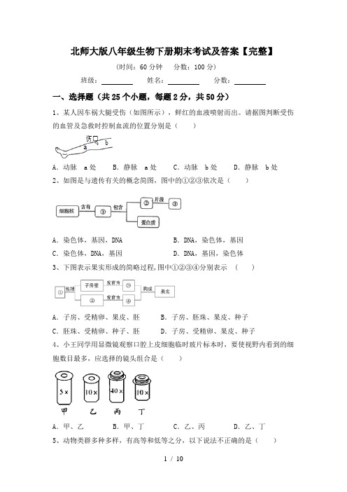 北师大版八年级生物下册期末考试及答案【完整】