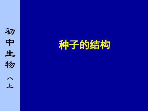 八年级上册生物种子结构